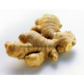 Gingerols CAS No 23513-14-6 Ginger Extract